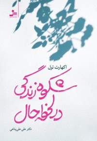 شکوه زندگی در لحظه حال
